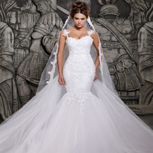 Lace Mermaid Wedding Dress