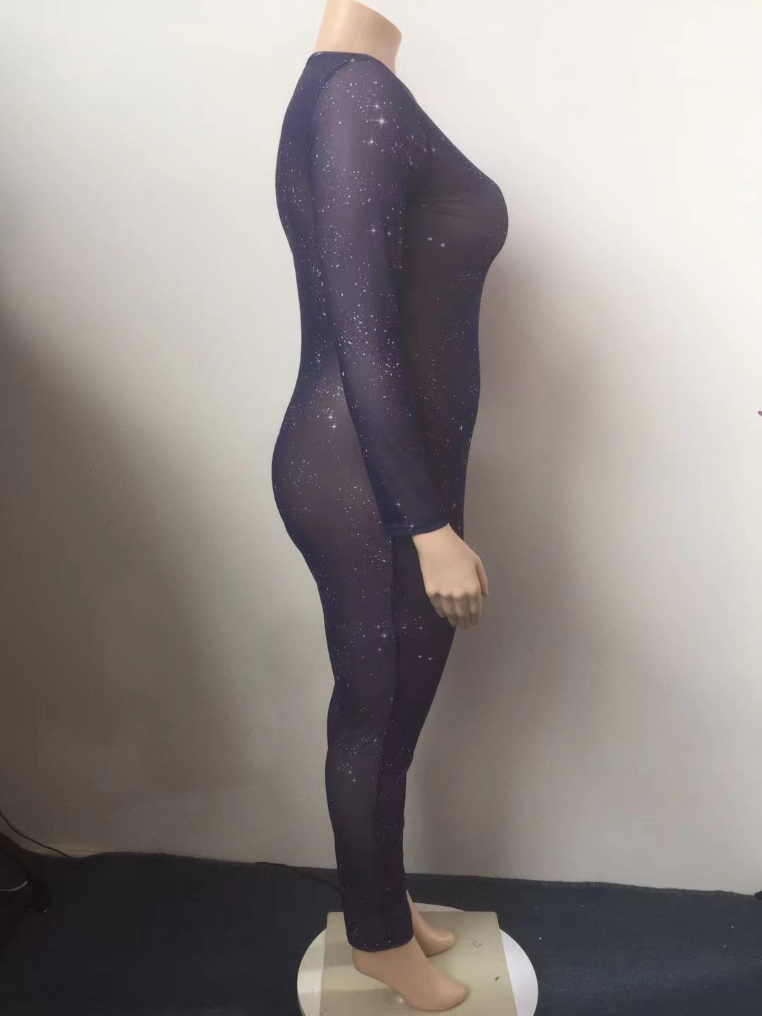 Hot Sale Sheer Temptation Printed Mesh Plus Size Jumpsuit - Image 5