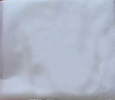 Princess Bride Mermaid Wedding Dress White Trailing Perspective Backless Lace Wedding Dress - Image 4