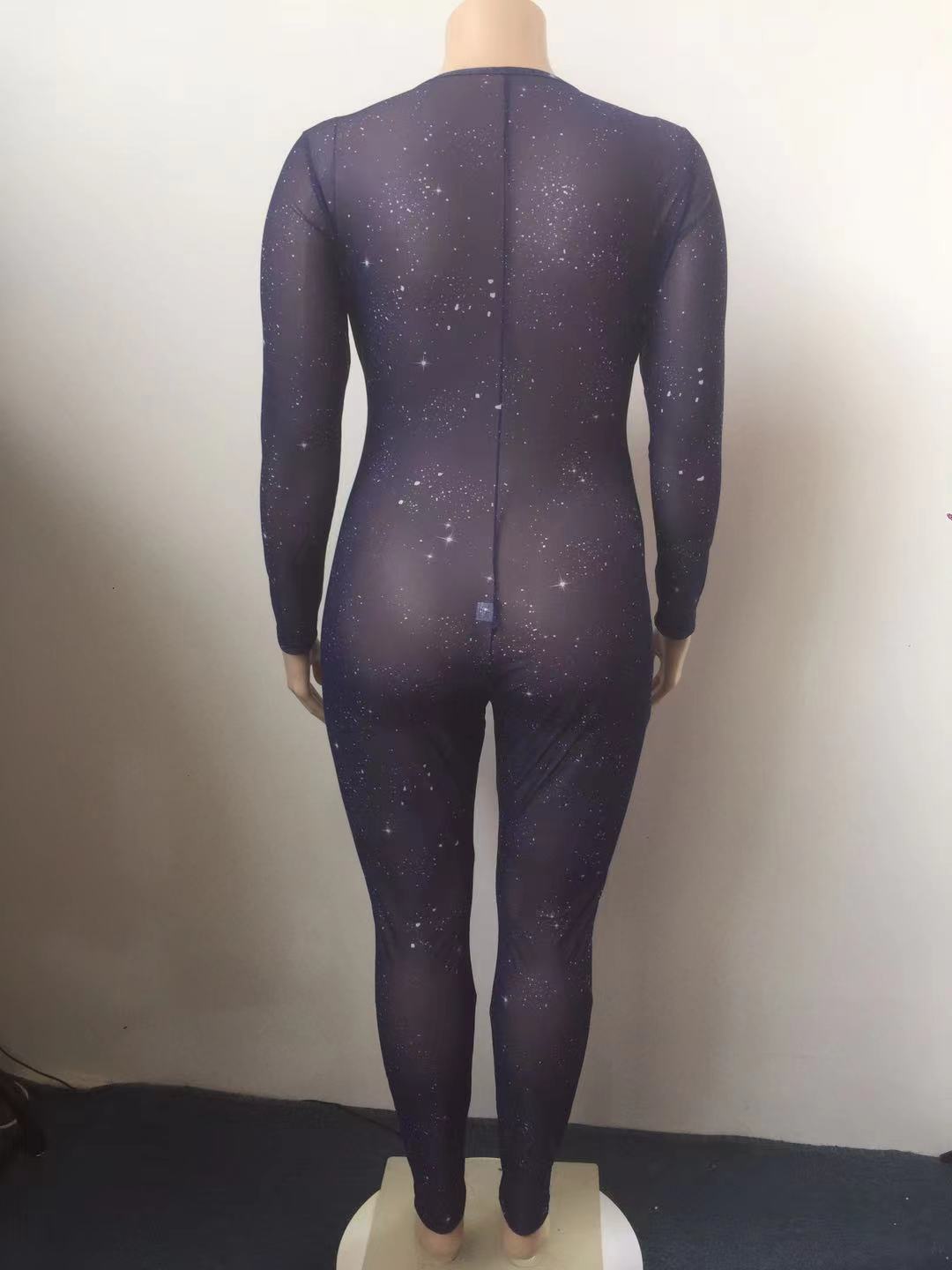 Hot Sale Sheer Temptation Printed Mesh Plus Size Jumpsuit - Image 2